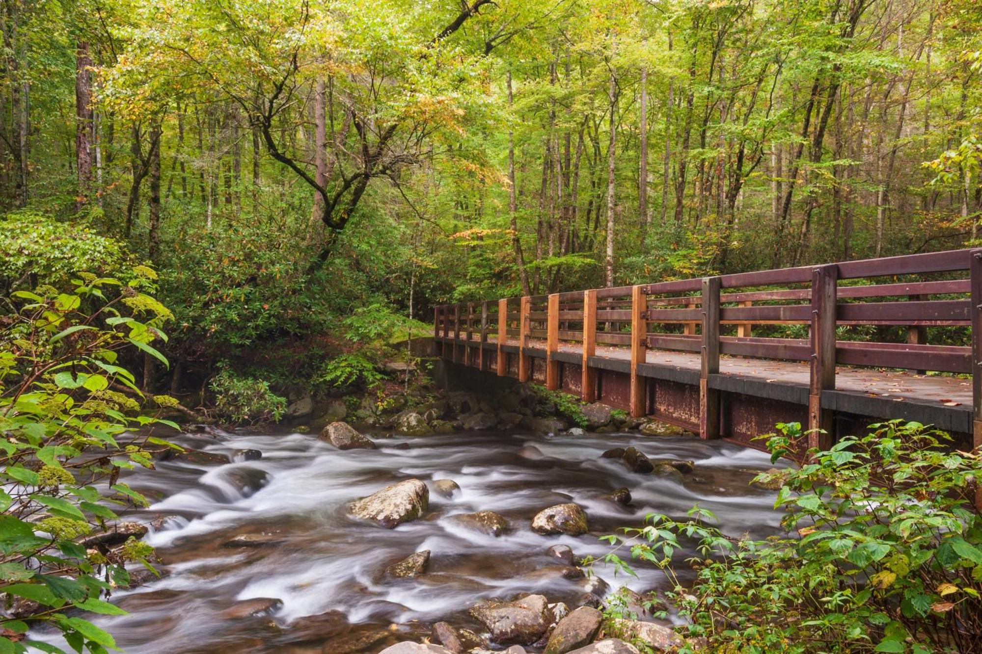 River Song, Near River, Hot Tub, Foosball, Wifi 1089 Free Tickets Each Paid Day, Dollywood And More Sevierville Exterior foto